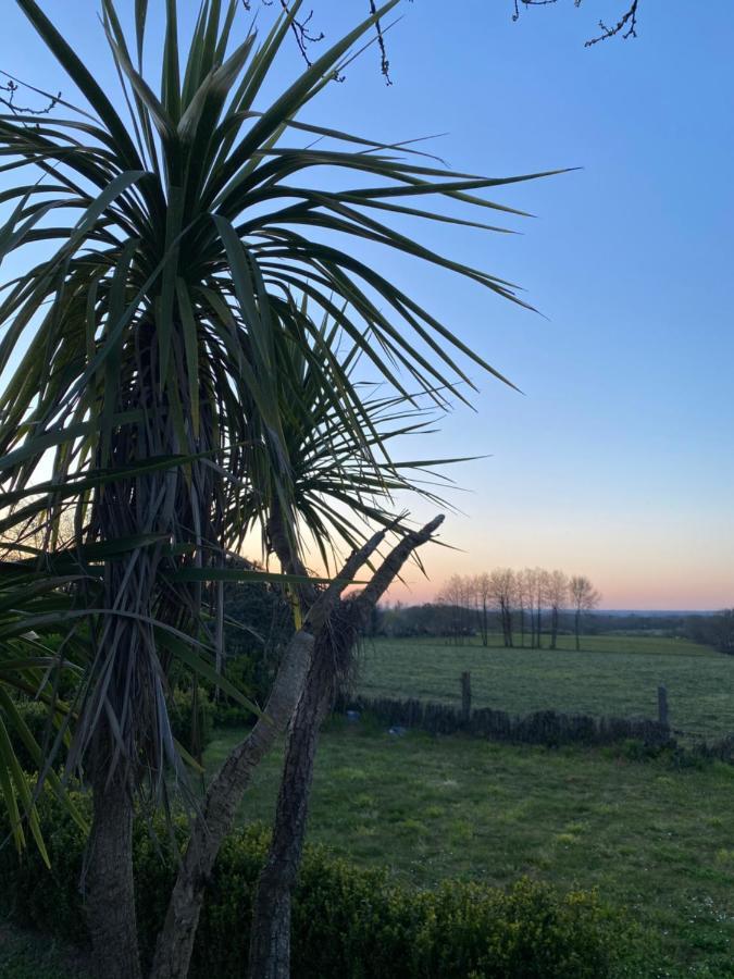 Maisonbel, Gite Convivial Bretagne Vannes Sarzeau 15 Personnes Surzur Екстер'єр фото